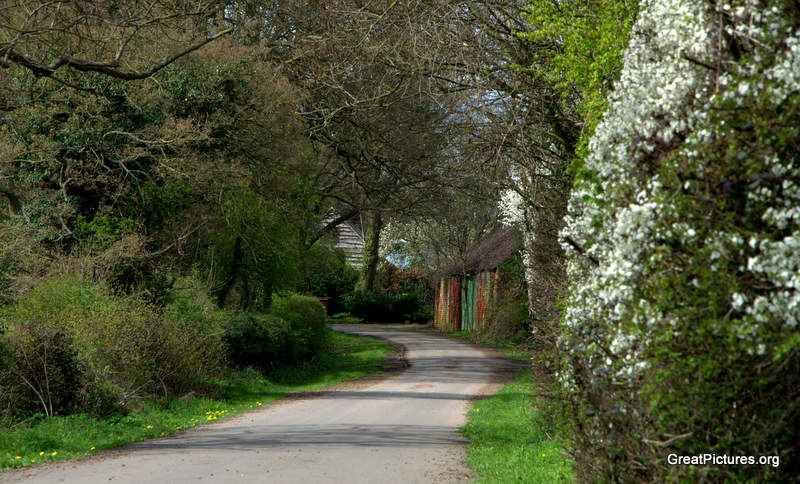 back lane.jpg